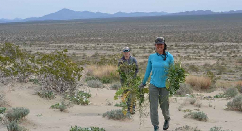 gap year service learning program in california 